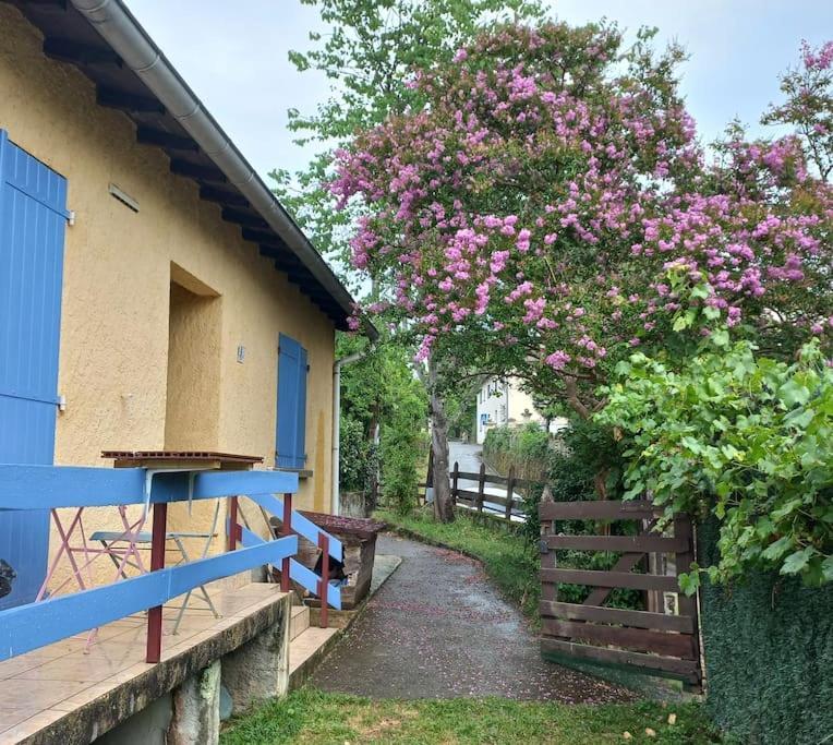 Maison Au Pied De La Montagne Aspet Esterno foto