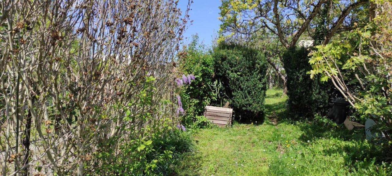 Maison Au Pied De La Montagne Aspet Esterno foto