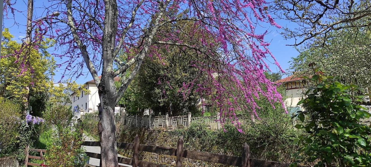 Maison Au Pied De La Montagne Aspet Esterno foto