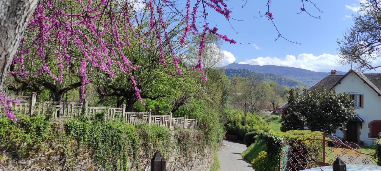 Maison Au Pied De La Montagne Aspet Esterno foto